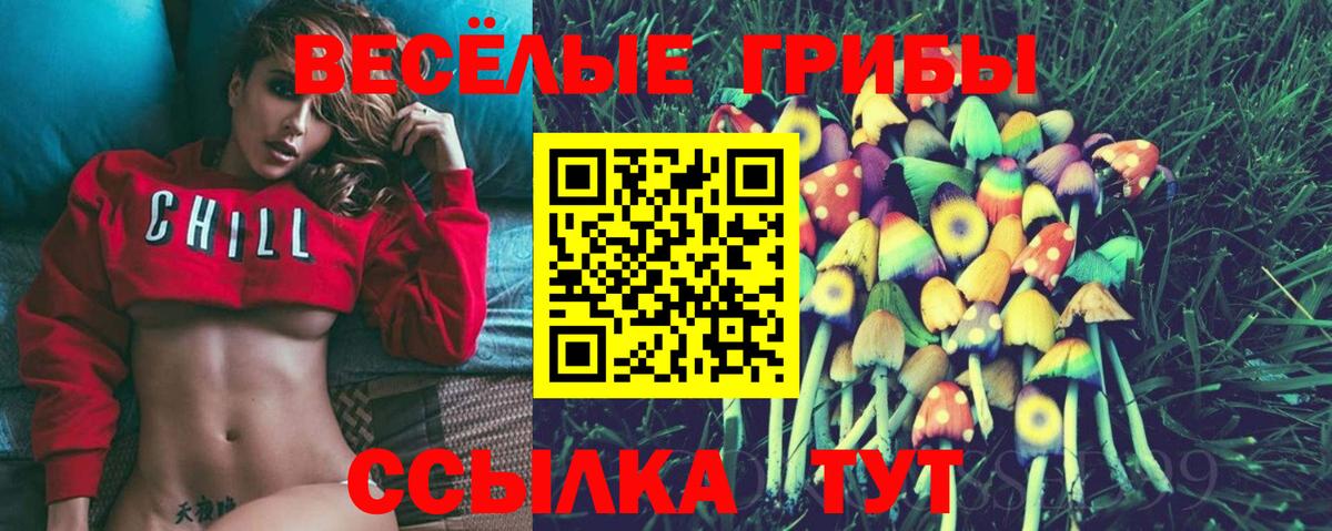 купить   Вход с VPN  Сухой Лог  Псилоцибиновые грибы Psilocybe 